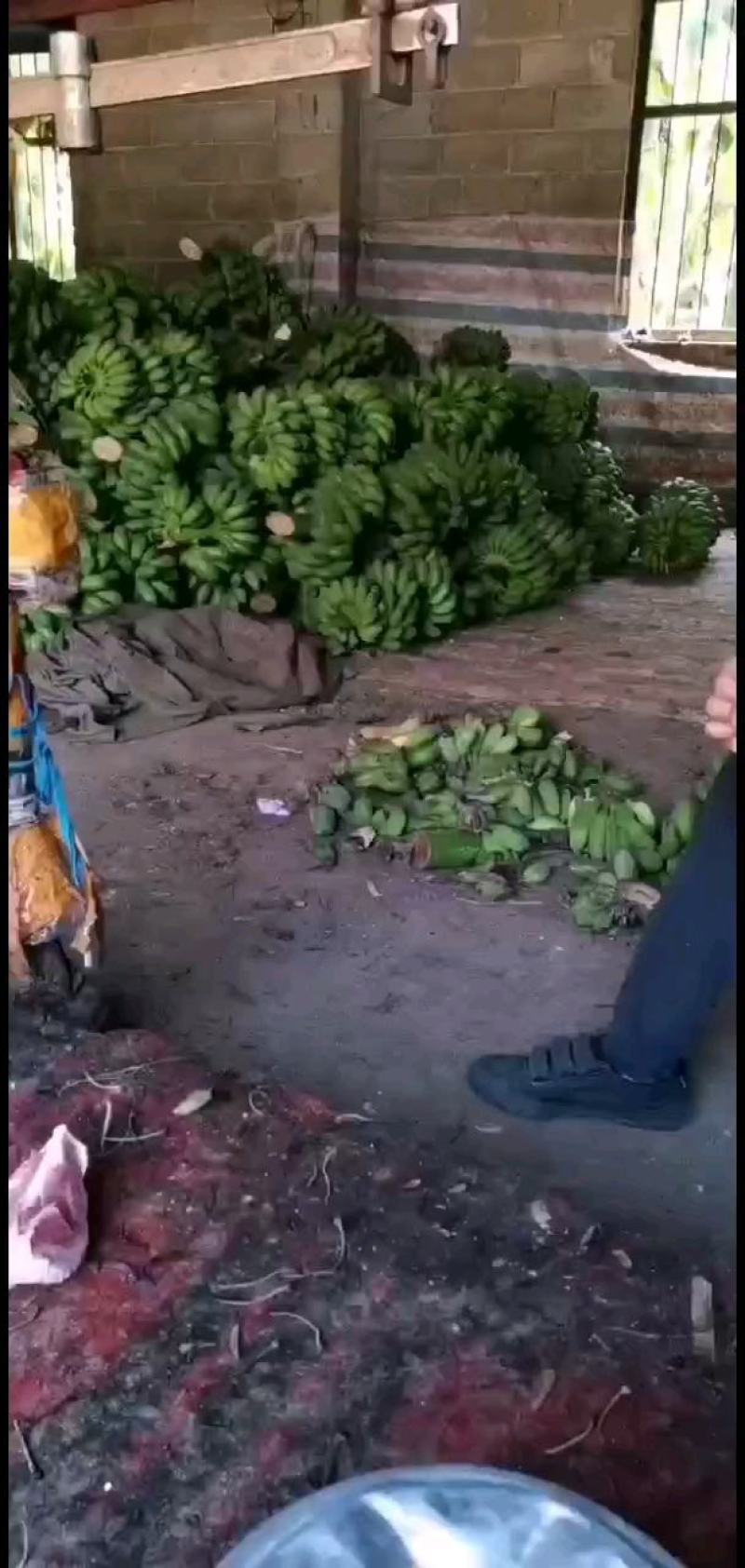 【产地直发】广西小米蕉应季新鲜水果小香蕉芭蕉苹果批发