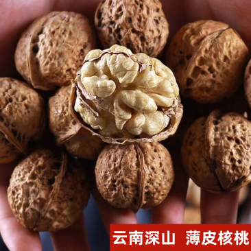 云南麻子核桃薄皮核桃新疆纸皮核桃新货干货地摊批发