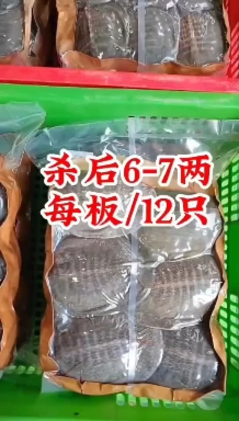 网红麻辣甲鱼批发，卤甲鱼半斤到一斤规格，量大从优