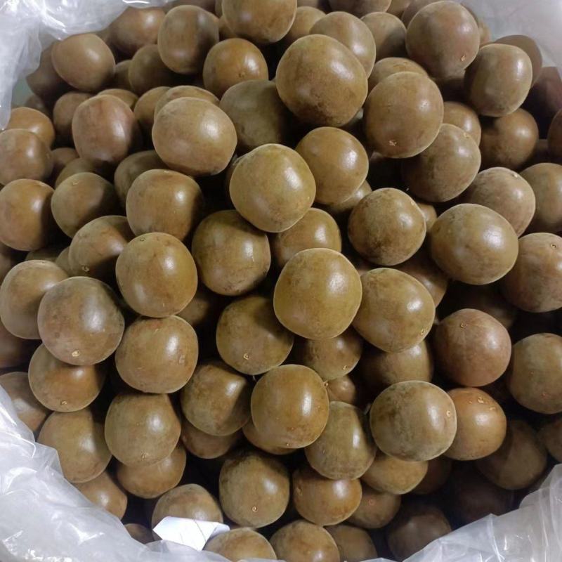 长期有货一手货源各种新鲜罗汉果和罗汉果干货