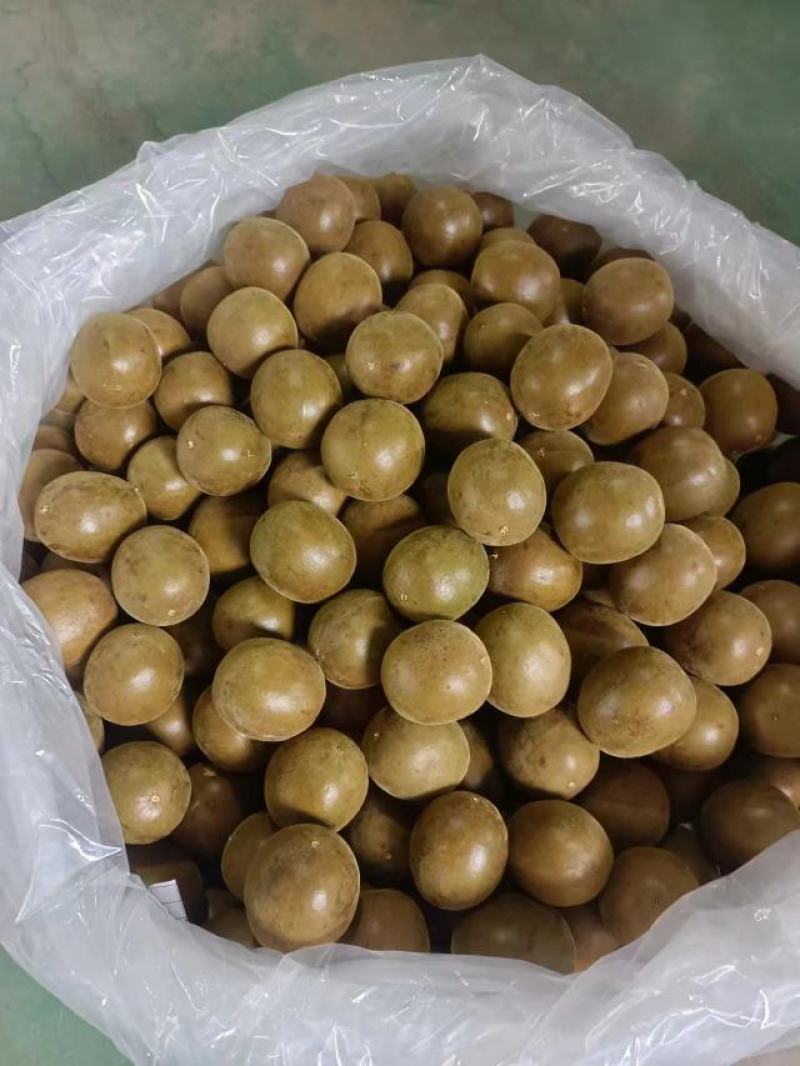 长期有货一手货源各种新鲜罗汉果和罗汉果干货