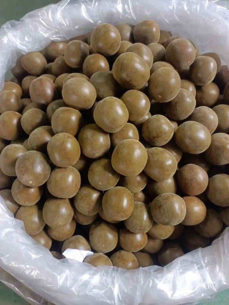 长期有货一手货源各种新鲜罗汉果和罗汉果干货