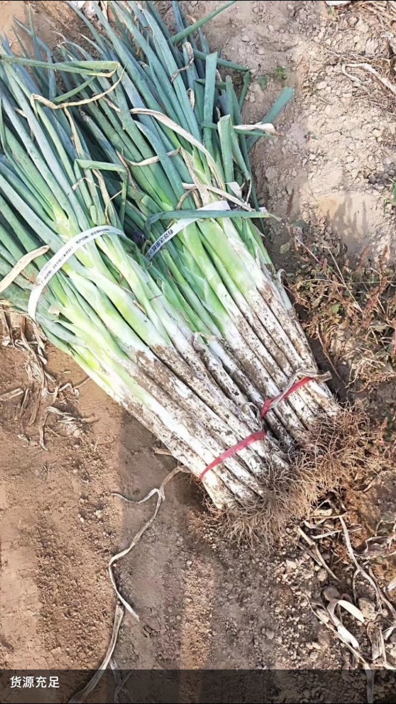 基地直发保证质量