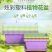 阳台树脂塑料长方形小花盆家用室内加厚大号种菜盆草蔬菜种子