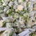 白面青梗花菜大量上市，本市场货多价美，欢迎客户前来采购