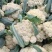 白面青梗花菜大量上市，本市场货多价美，欢迎客户前来采购