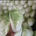 大家好，这里是河南开封，白菜大量有货中，需要的赶集联系