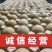 山东野鸡蛋，保证新鲜