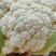 菜花，精品花菜，青梗花菜直供产地，货源充足，保质保量