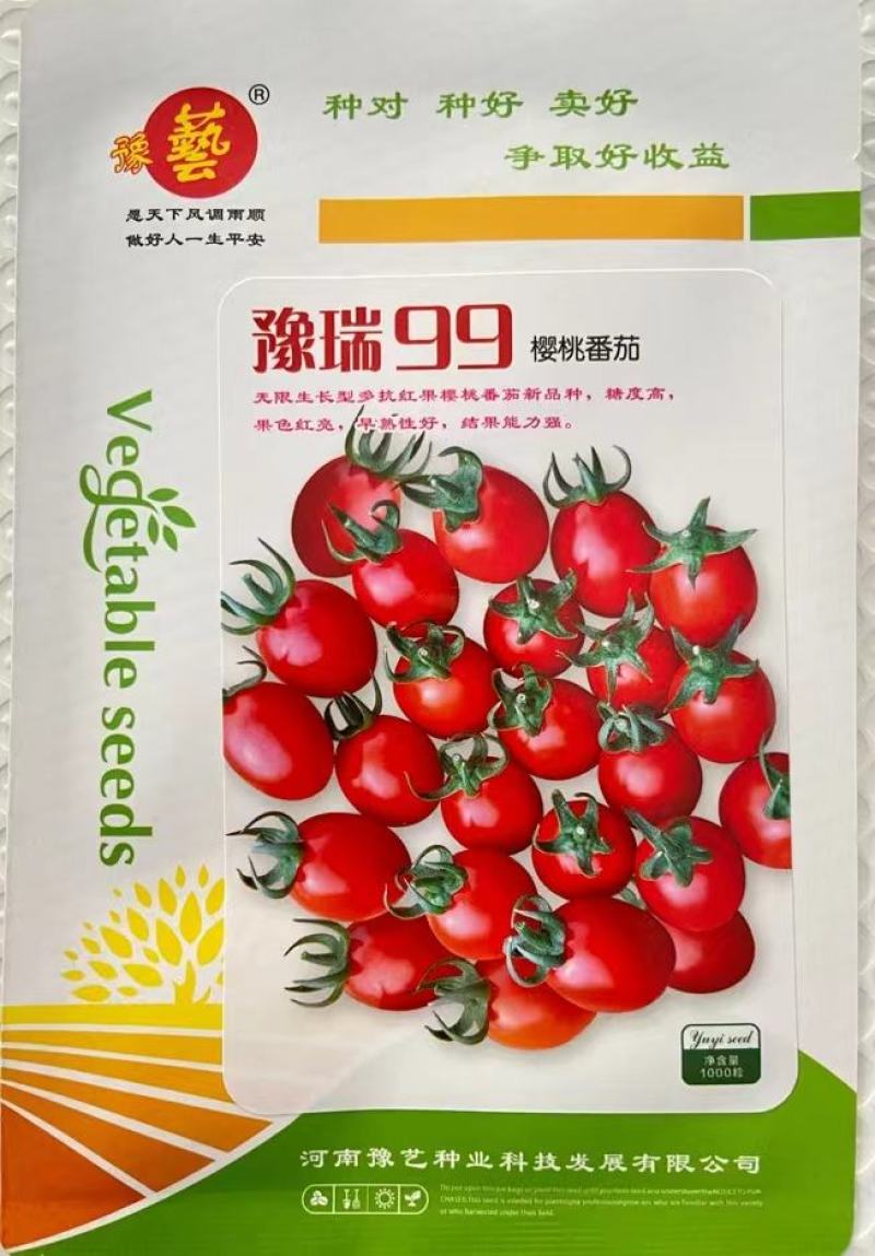 豫瑞99小番茄种子小西红柿种子硬度好口感好经济效益高