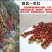 豫瑞99小番茄种子小西红柿种子硬度好口感好经济效益高