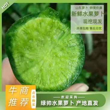 【推荐】山东潍坊水果萝卜电商团购档口商超加工厂对接