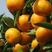 西北柑橘油桃基地，柑橘火热招商中！需要采购速度联系！