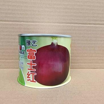 豫艺富士红洋葱种子圆球形紫红色球350克口感好产量高