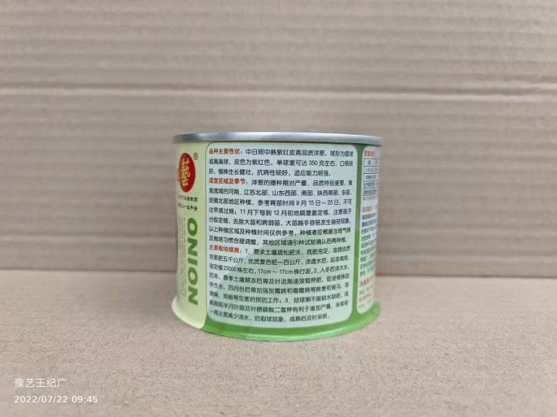 豫艺富士红洋葱种子圆球形紫红色球350克口感好产量高
