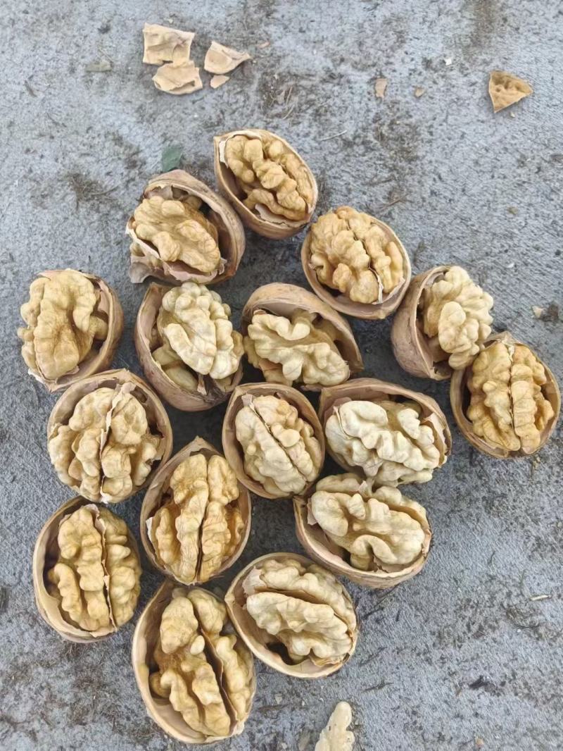 阿克苏纸皮185核桃一手货源质量保证价格实惠