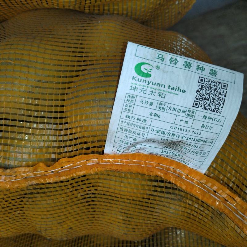精品沃土五号种子v7基地直供手货源品质保证诚信经营