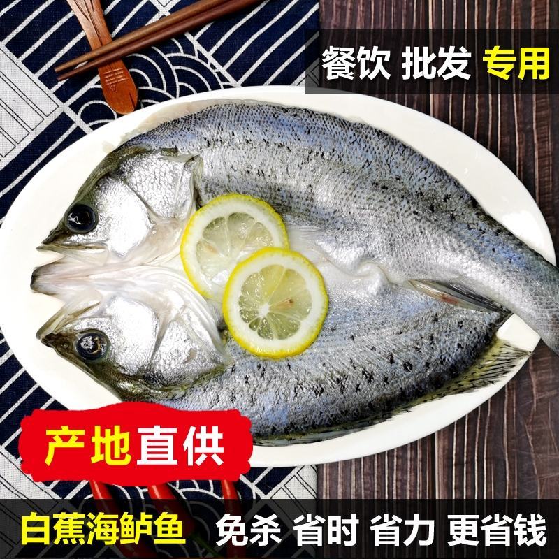 开背鲈鱼，清蒸，红烧，支持批发，速冻发货