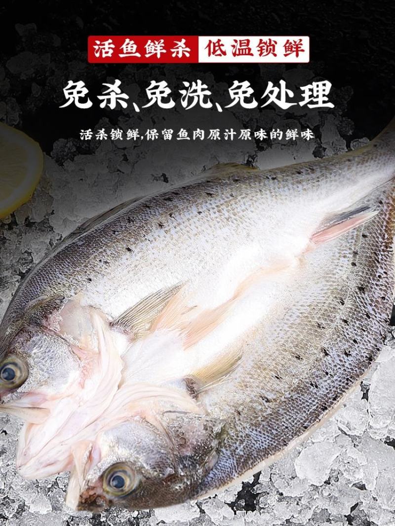 开背鲈鱼，清蒸，红烧，支持批发，速冻发货