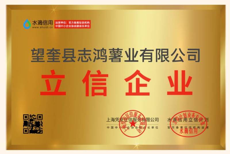 《原产地》黑龙江荷兰十五土豆种子荷兰806种子荷兰七种子