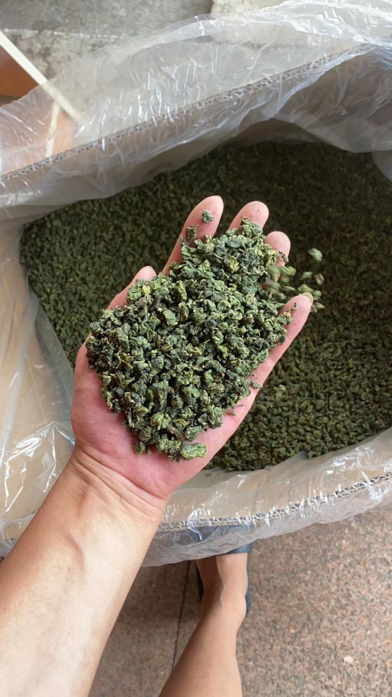 桑叶茶2025年新桑叶茶颗粒山东桑叶厂家