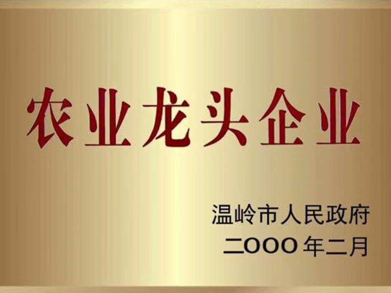 东海精品马面鱼一手货源原产地厂家对接大型商超批发商采购