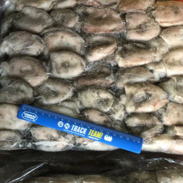 墨鱼船冻墨鱼西非船冻墨鱼不泡水墨鱼不缩水墨鱼
