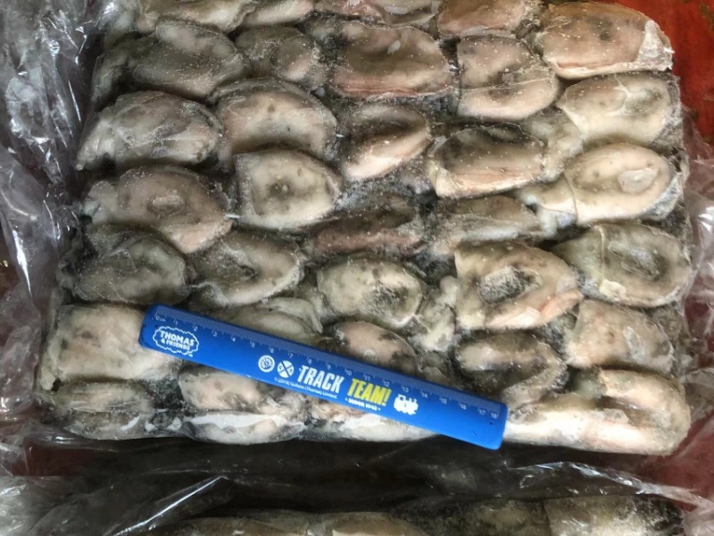 墨鱼船冻墨鱼西非船冻墨鱼不泡水墨鱼不缩水墨鱼