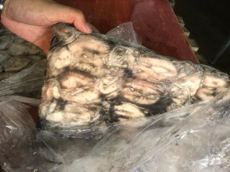 墨鱼船冻墨鱼西非船冻墨鱼不泡水墨鱼不缩水墨鱼