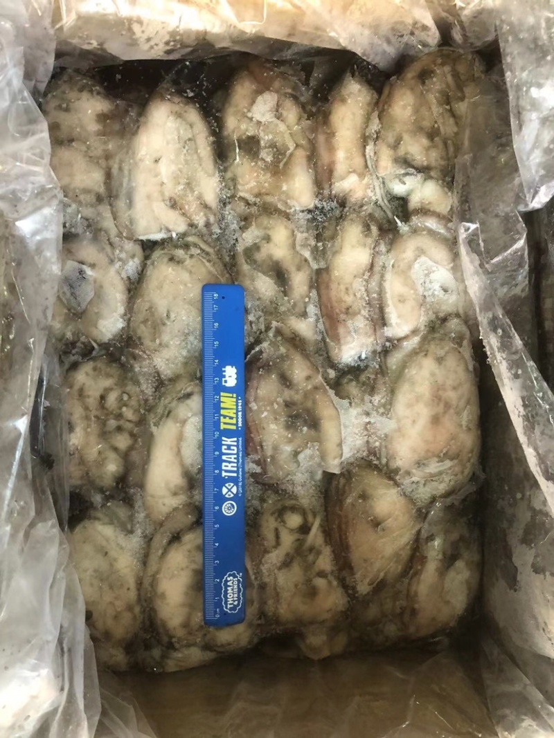 墨鱼船冻墨鱼西非船冻墨鱼不泡水墨鱼不缩水墨鱼