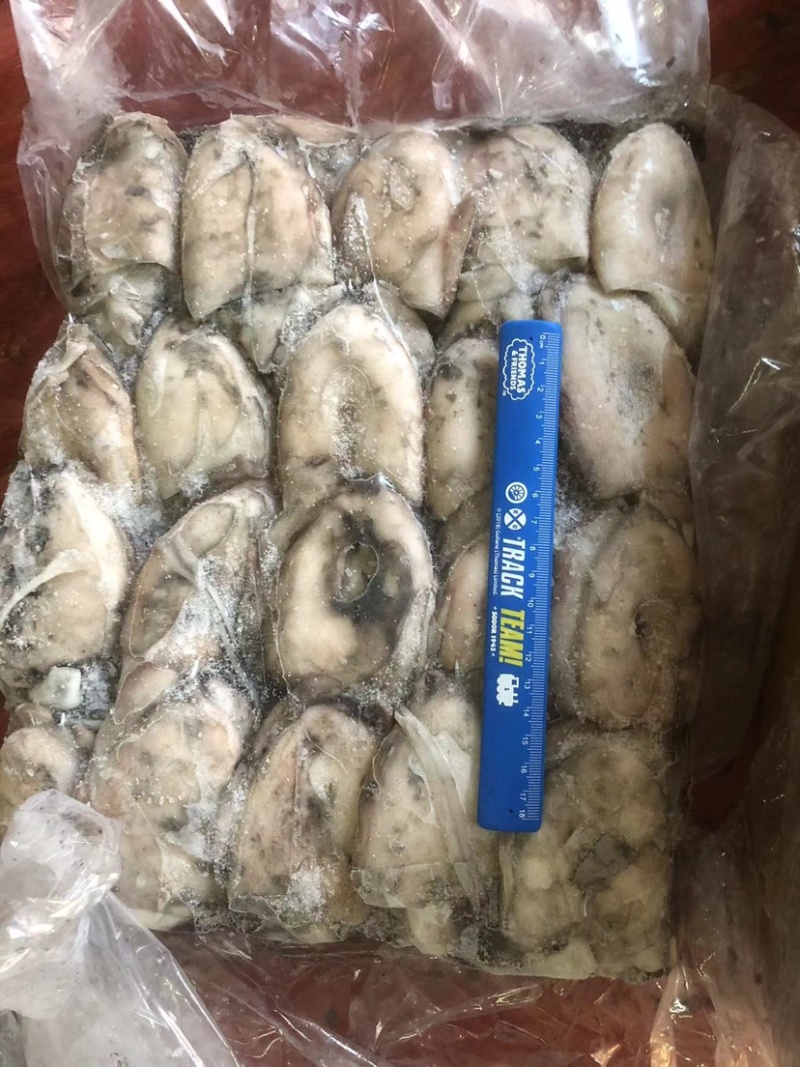 墨鱼船冻墨鱼西非船冻墨鱼不泡水墨鱼不缩水墨鱼