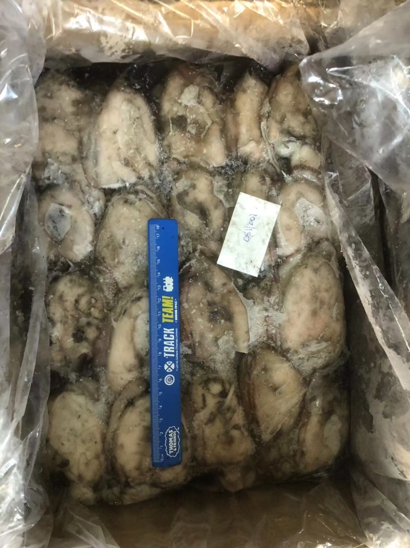 墨鱼船冻墨鱼西非船冻墨鱼不泡水墨鱼不缩水墨鱼