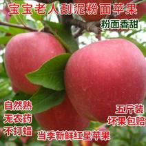 苹果红星苹果正宗花牛苹果山西苹果甘甜爽口大量供应