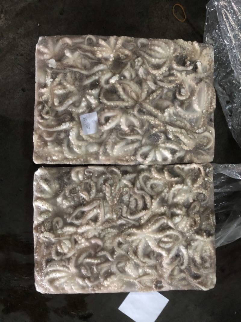 章鱼八爪鱼小章鱼小八爪一口章章鱼原条章鱼花