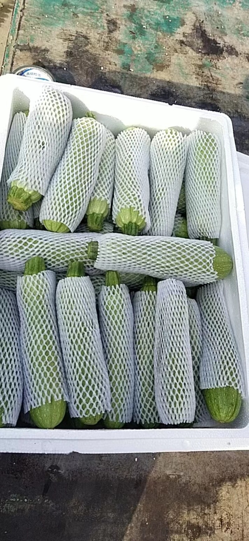 【推荐】优质精品西葫芦产地直供电商品质专业代办量大优惠