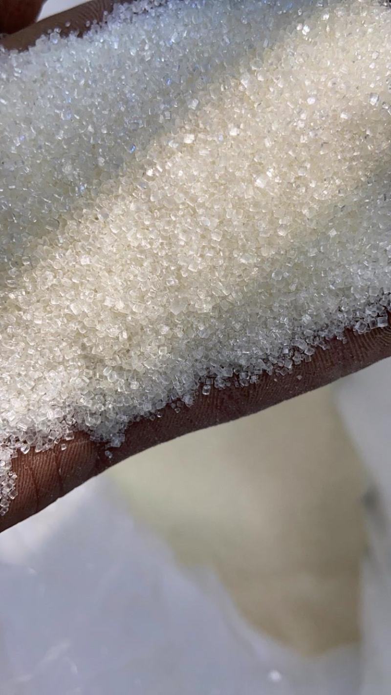 大量批发湘桂一级白砂糖骏马一级白砂糖每袋50公斤包装