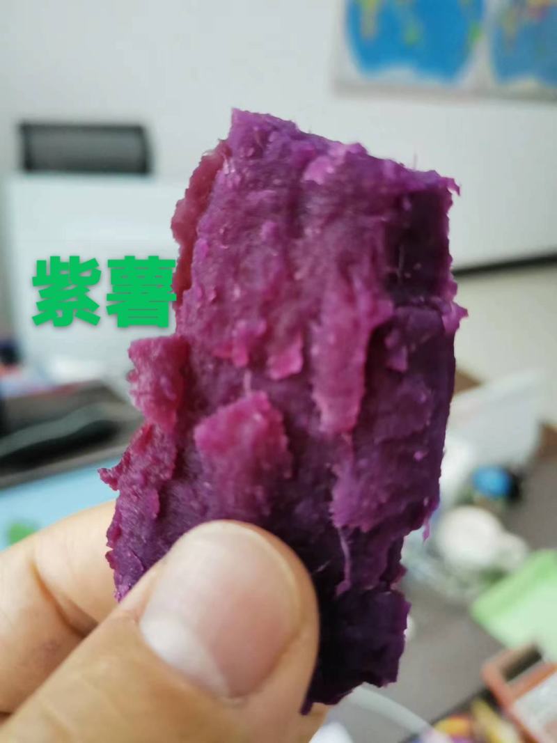红薯