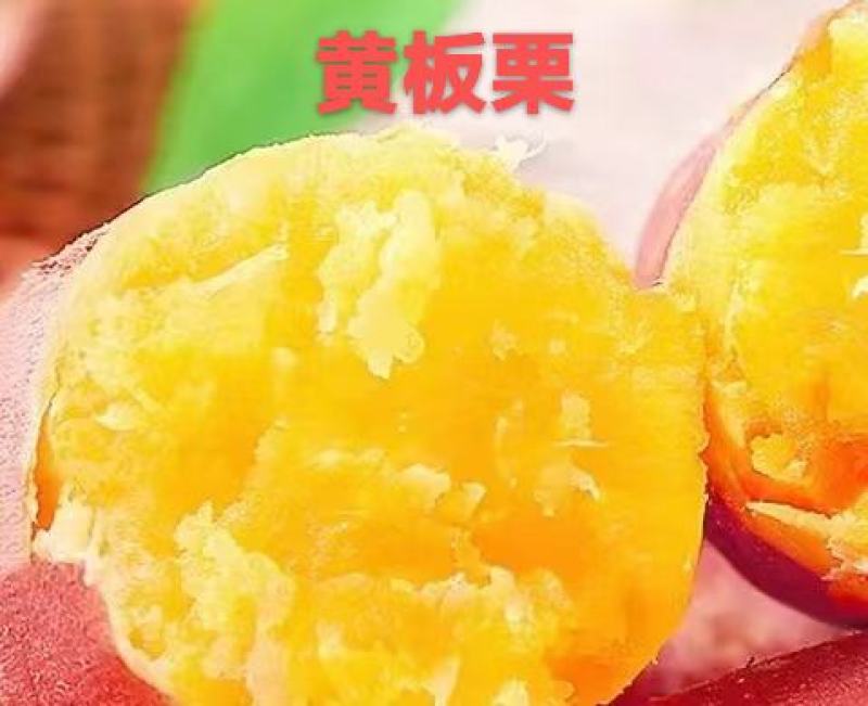 红薯