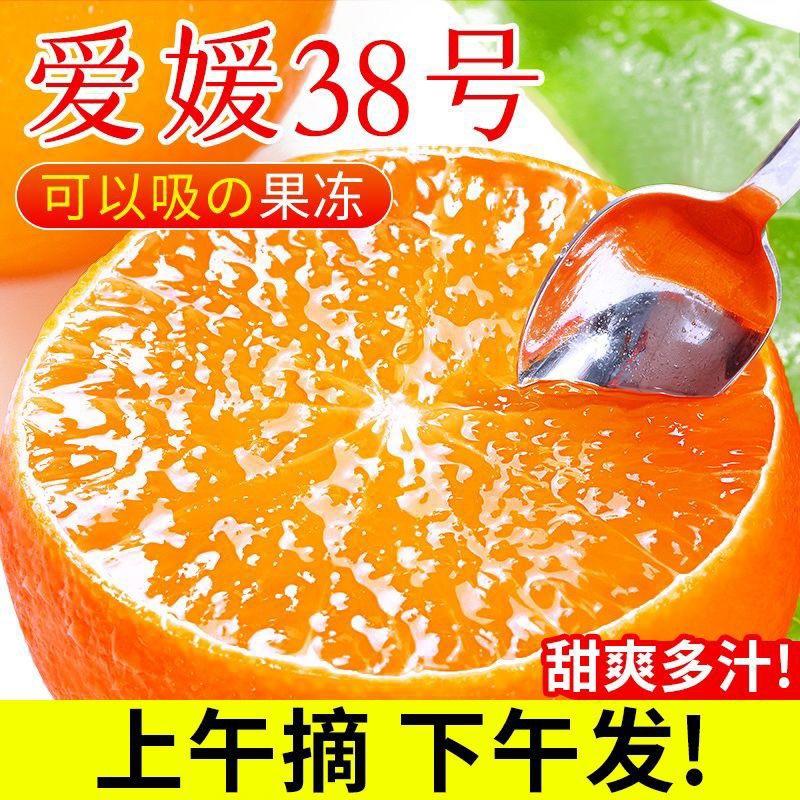四川眉山爱媛38号果冻橙应季新鲜水果现发包邮