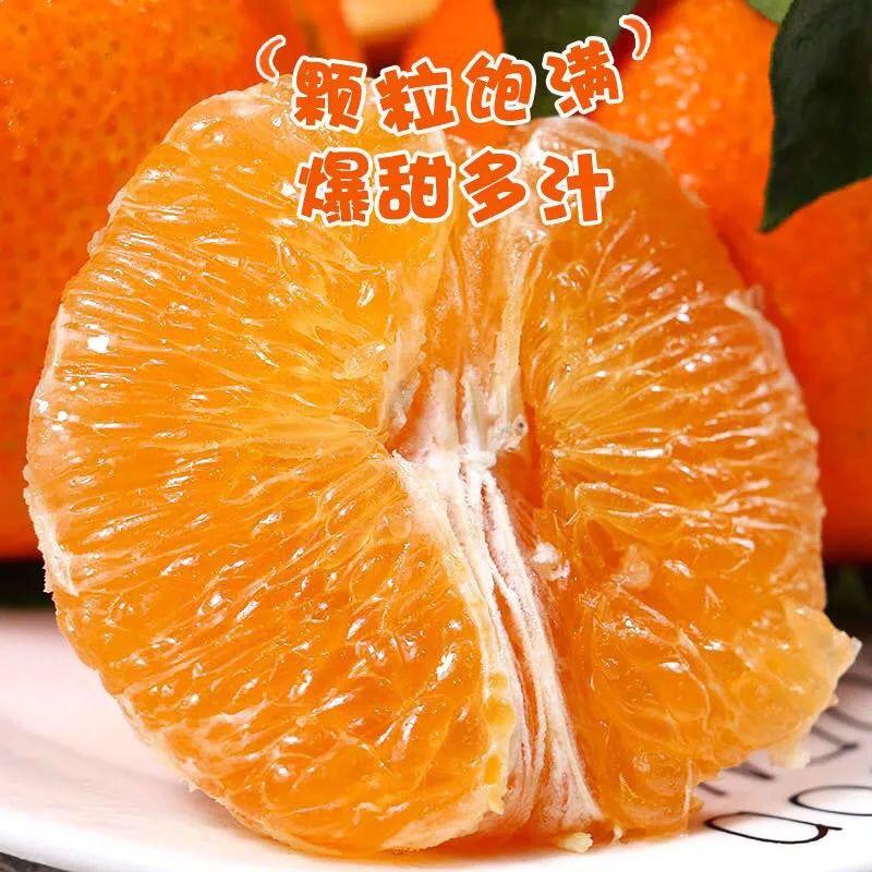 四川眉山爱媛38号果冻橙应季新鲜水果现发包邮