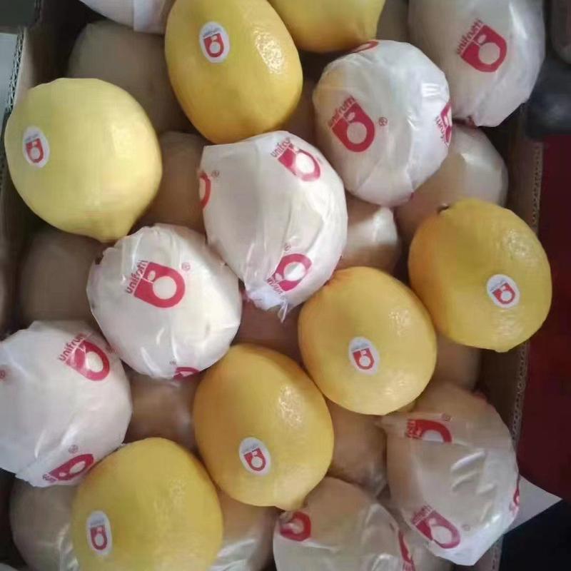 安岳黄青柠檬货源充足质量保证欢迎来电咨询