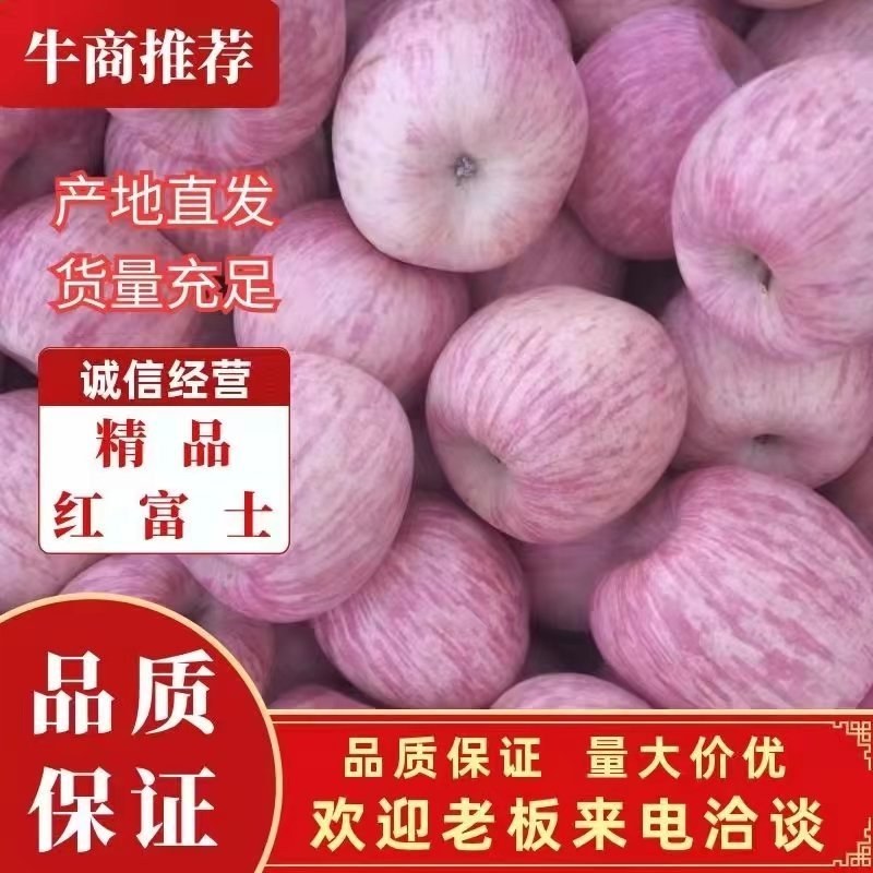 烟台栖霞红富士苹果大量上市了！！