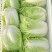 夏阳白菜/秋宝白菜/夏辉白菜/江苏夏阳菜/基地大量供应