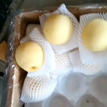 皇冠梨纸箱货，黑框子货大量有货