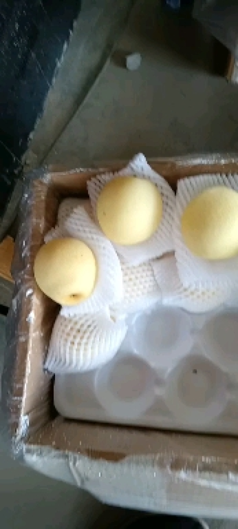 皇冠梨纸箱货，黑框子货大量有货
