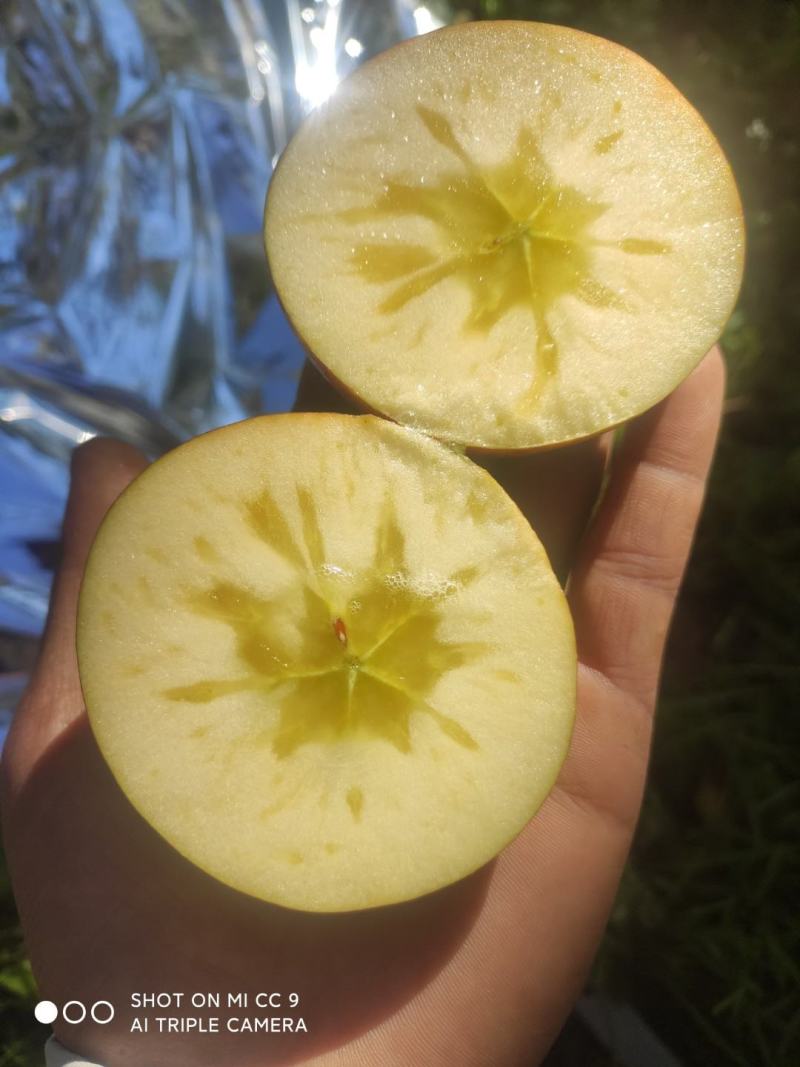 大凉山糖心苹果