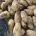 新鲜土豆青岛土豆常年有货品种齐全价格实惠欢迎联系