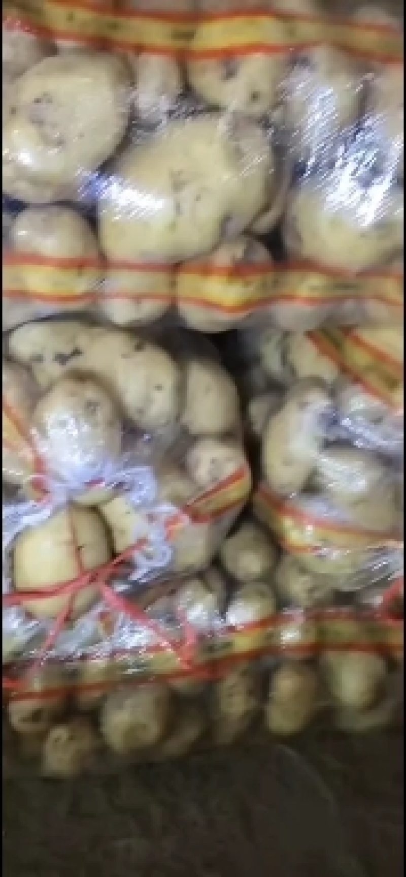 新鲜土豆青岛土豆常年有货品种齐全价格实惠欢迎联系