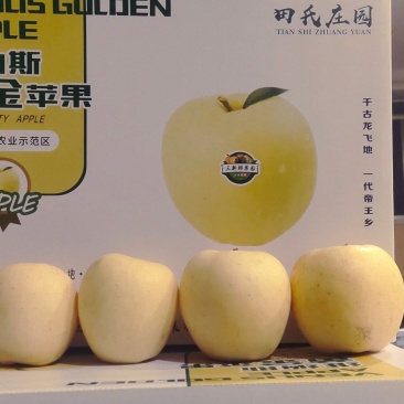 维纳斯黄金苹果非常非常非常非好吃好吃好吃好吃好吃好吃好吃