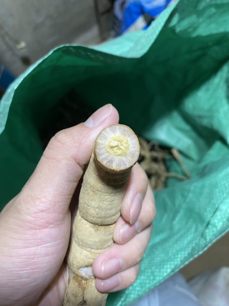 深生野生巴戟天煲汤泡酒